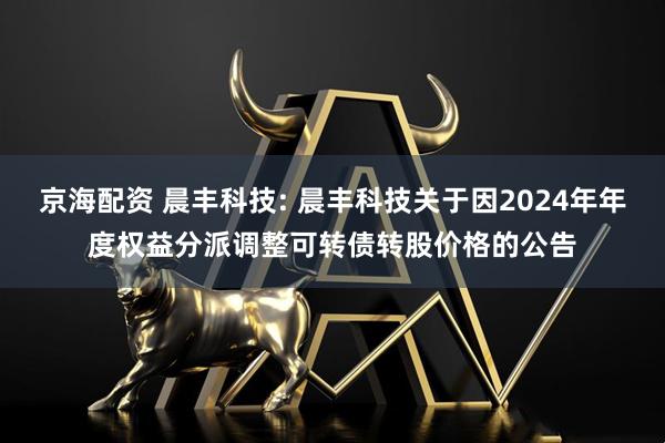 京海配资 晨丰科技: 晨丰科技关于因2024年年度权益分派调整可转债转股价格的公告