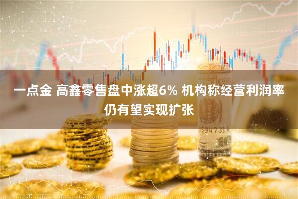 一点金 高鑫零售盘中涨超6% 机构称经营利润率仍有望实现扩张