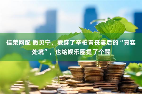 佳荣网配 撒贝宁，戳穿了辛柏青丧妻后的“真实处境”，也给娱乐圈提了个醒