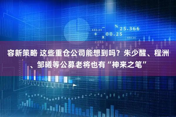 容新策略 这些重仓公司能想到吗？朱少醒、程洲、邹曦等公募老将也有“神来之笔”