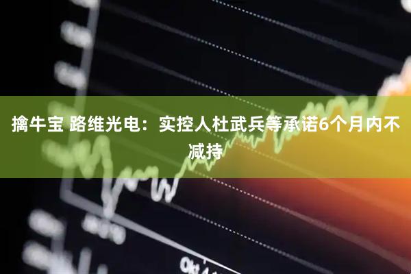擒牛宝 路维光电：实控人杜武兵等承诺6个月内不减持