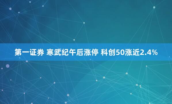 第一证券 寒武纪午后涨停 科创50涨近2.4%