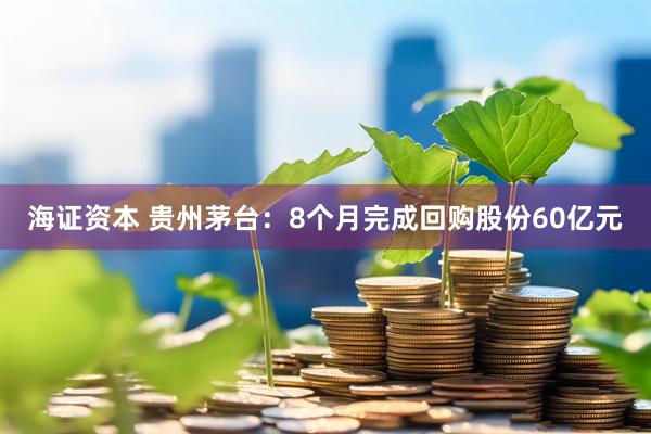 海证资本 贵州茅台：8个月完成回购股份60亿元