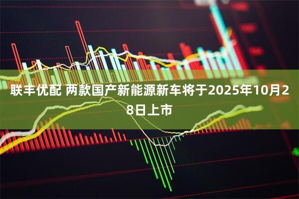 联丰优配 两款国产新能源新车将于2025年10月28日上市