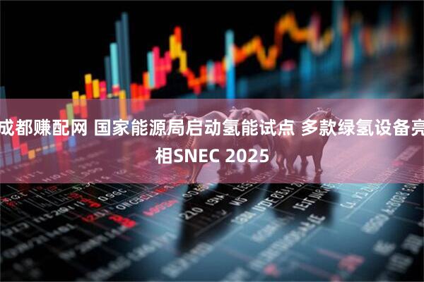成都赚配网 国家能源局启动氢能试点 多款绿氢设备亮相SNEC 2025