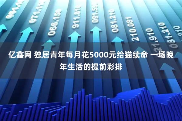 亿鑫网 独居青年每月花5000元给猫续命 一场晚年生活的提前彩排