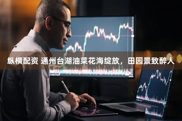 纵横配资 通州台湖油菜花海绽放，田园景致醉人